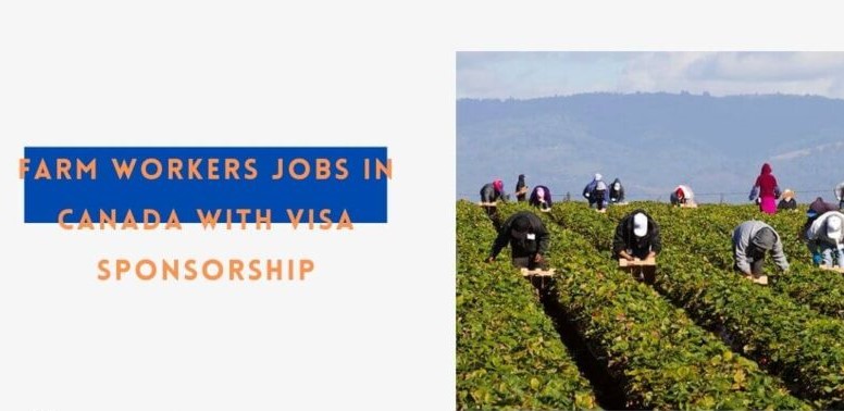 Employment Opportunities for Farm Workers in Canada with Visa Sponsorship
